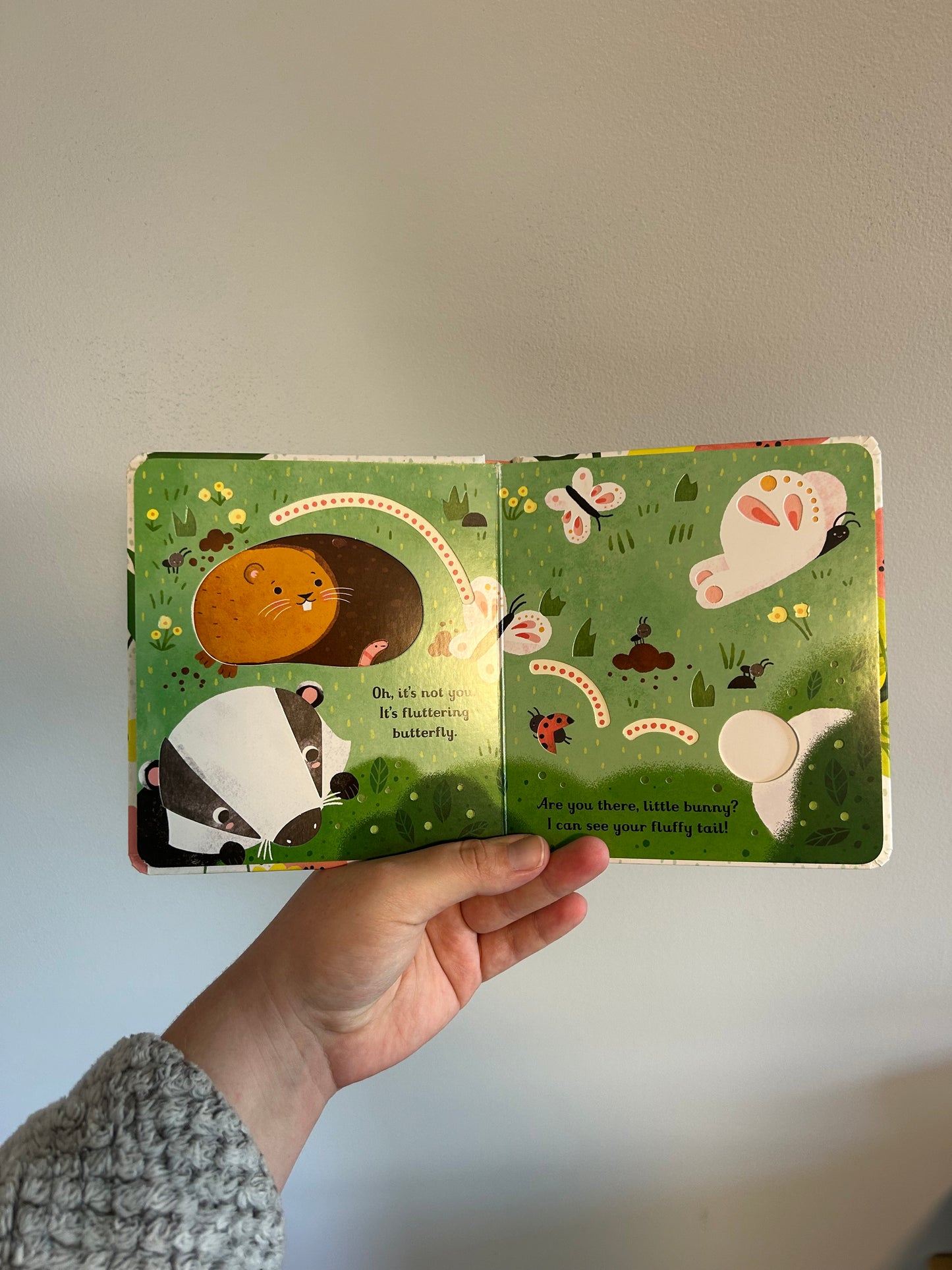 NEW are you there bunny book