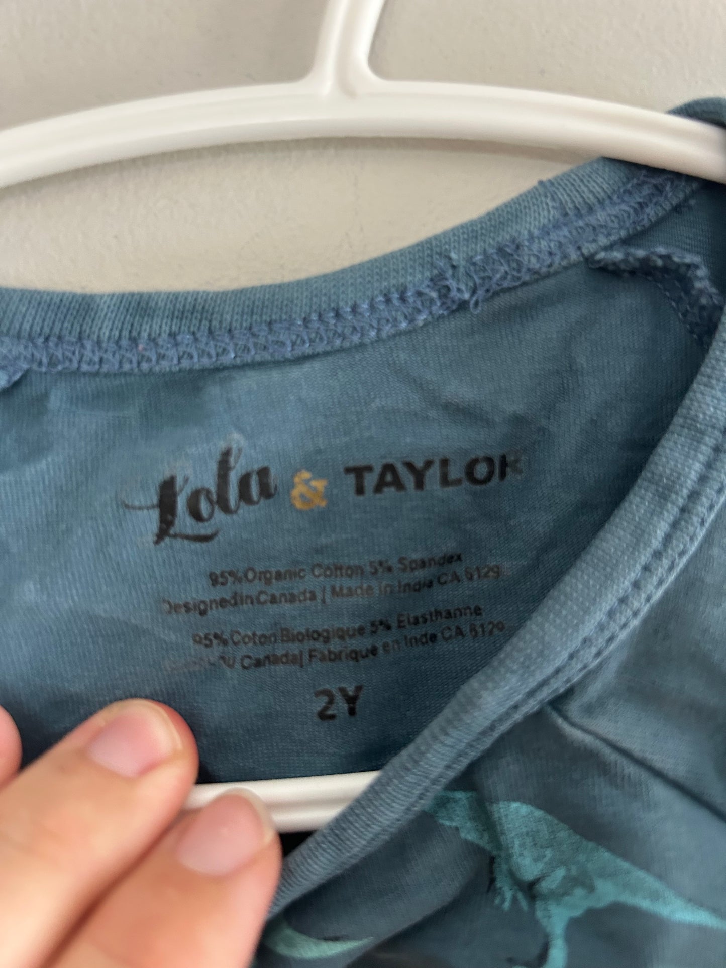 Lola & Taylor 2t blue Dino long sleeve shirt