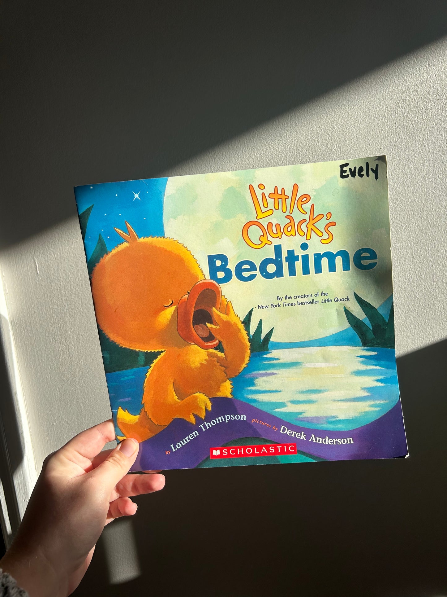 Little quacks bedtime book
