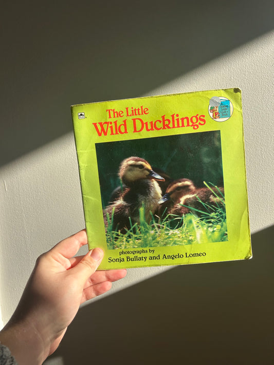 The little wild ducklings book