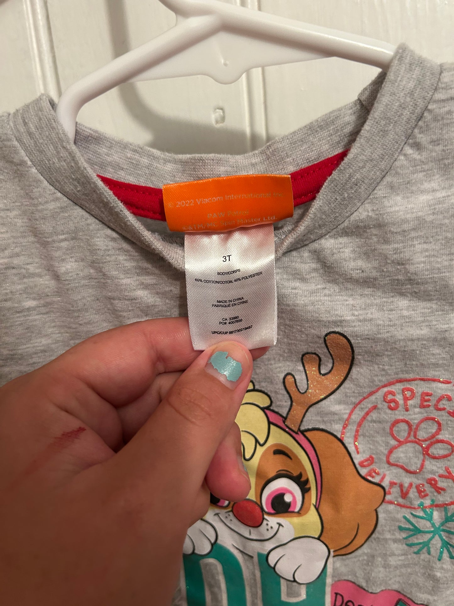 Paw patrol 3t Skye Christmas top