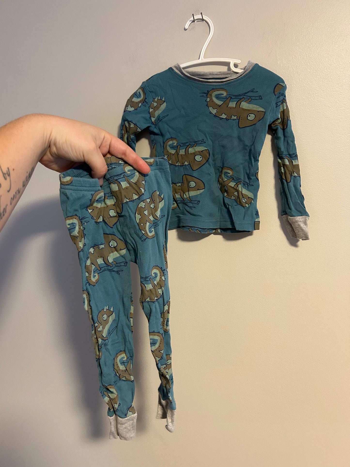 Carters 2t blue & green gecko 2pc pj set