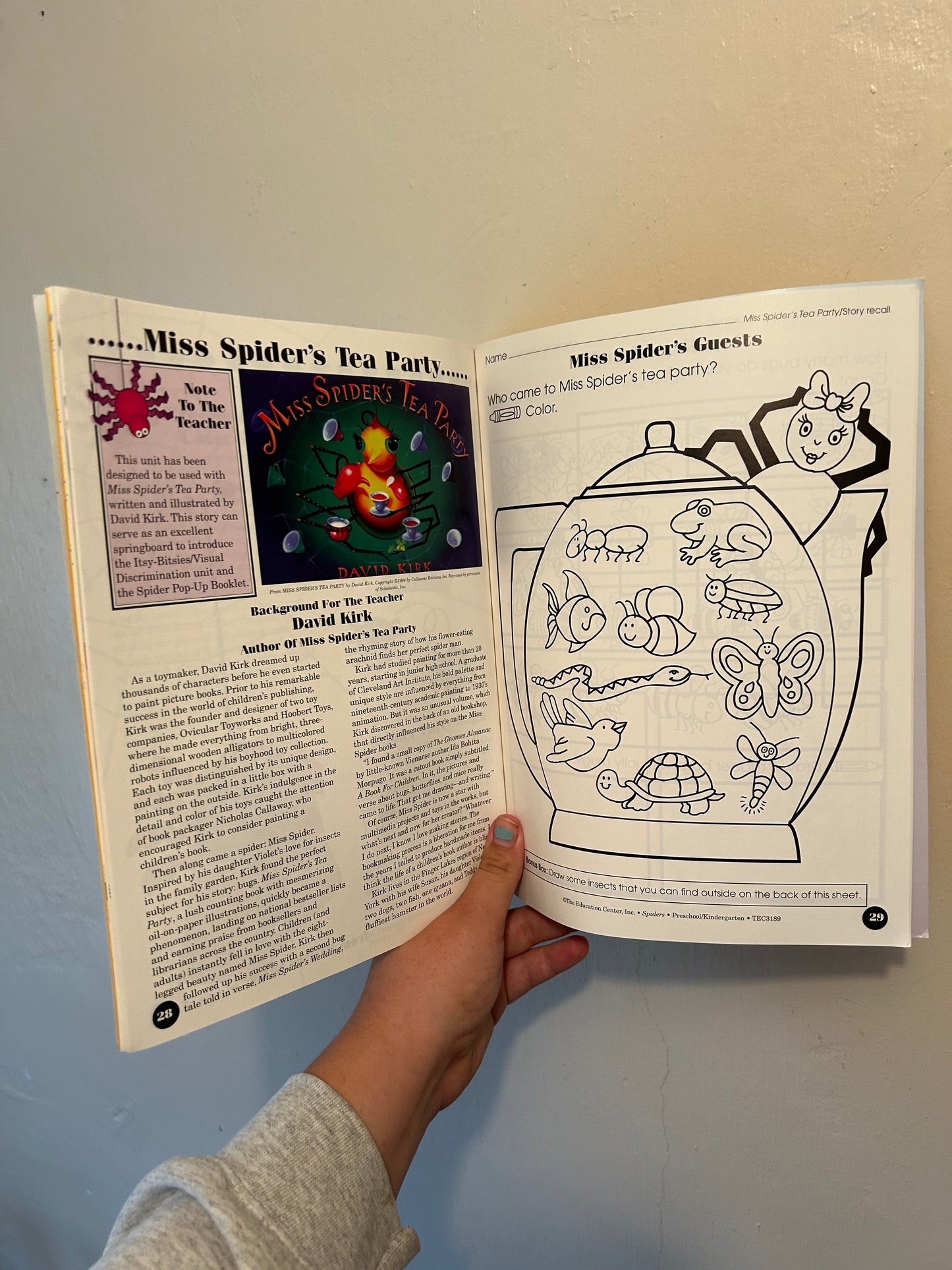 Spider activity book