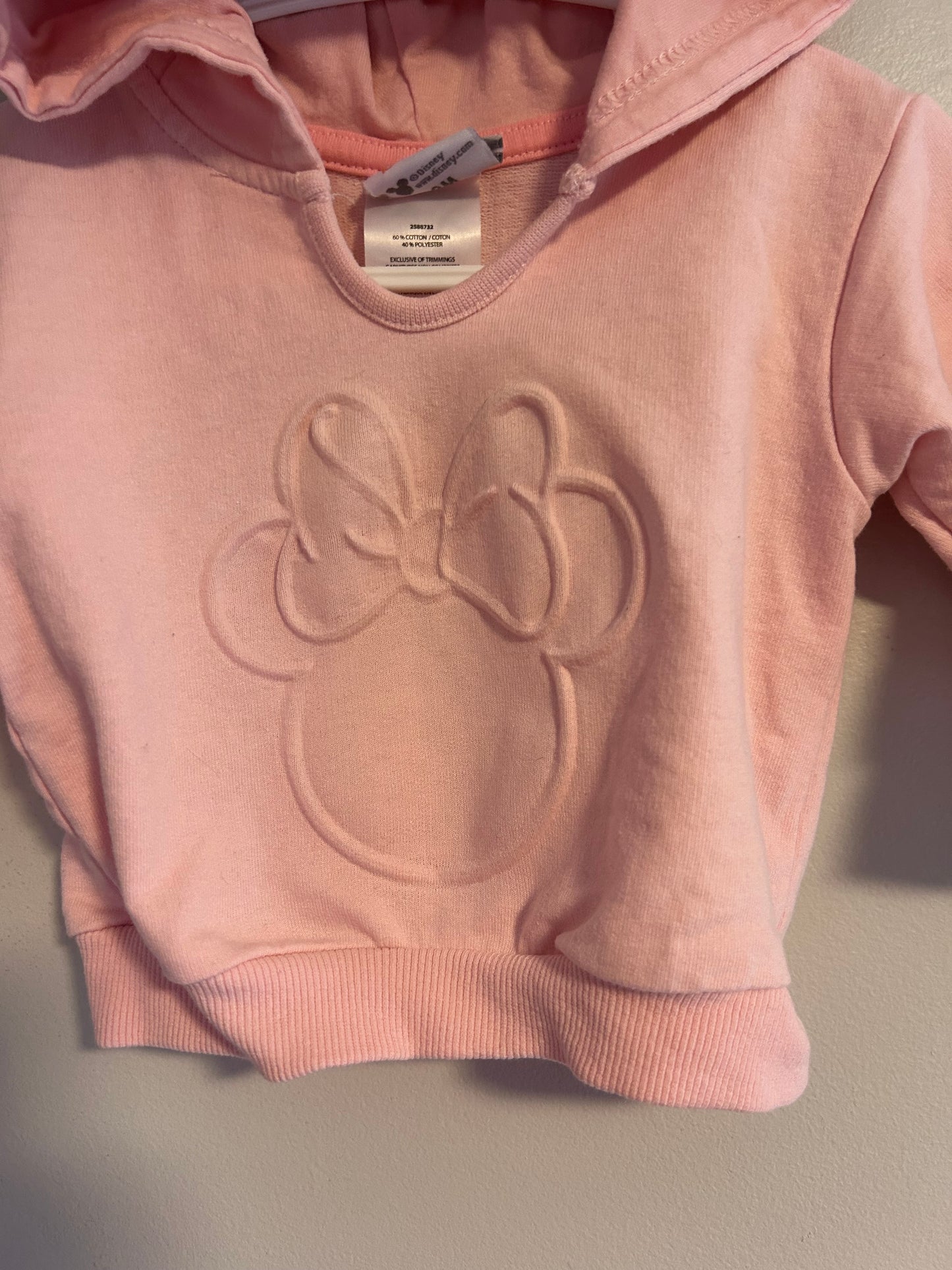 Disney 3m pink ear hoodie