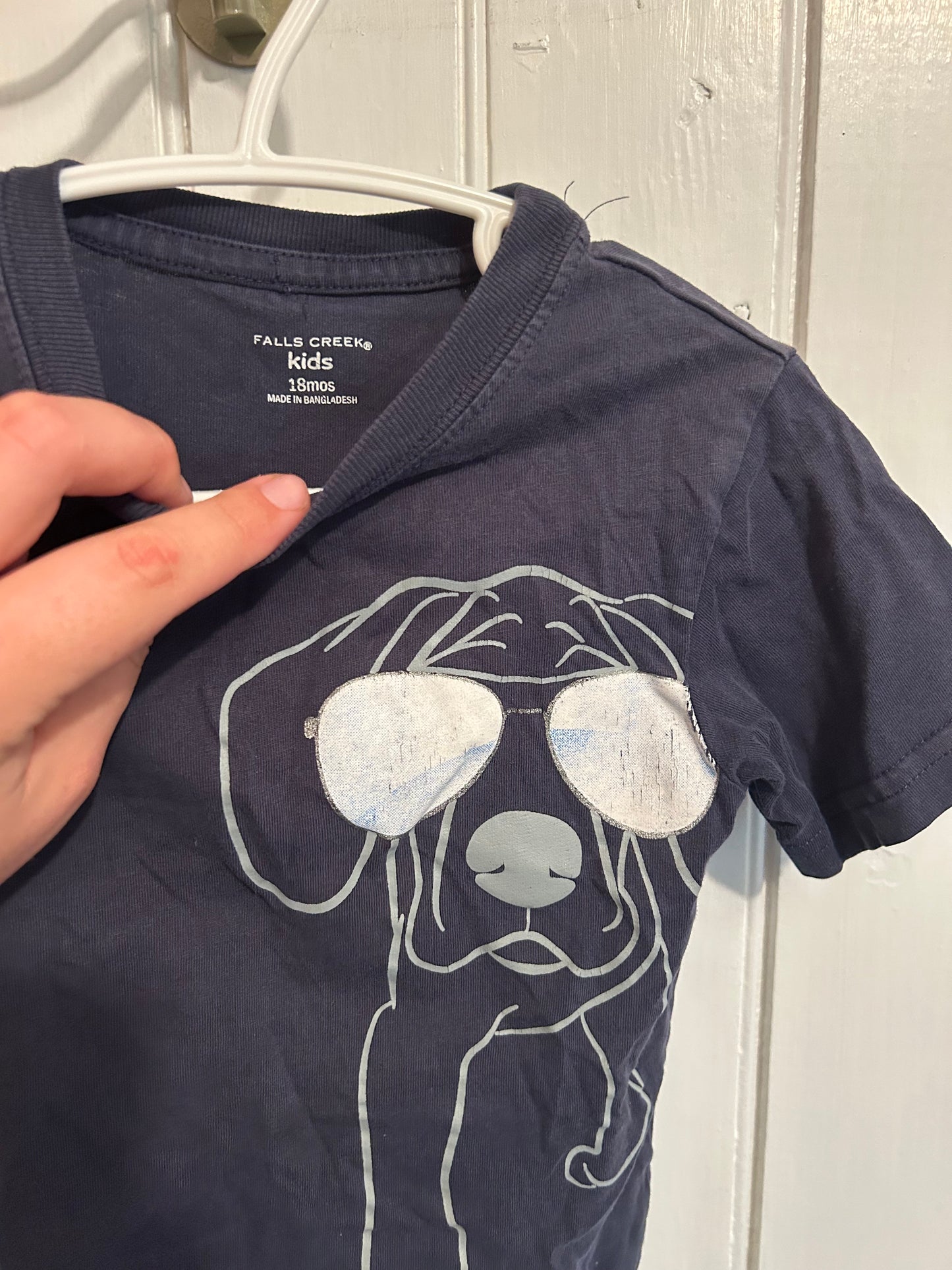 Falls creek 18m blue dog T-shirt