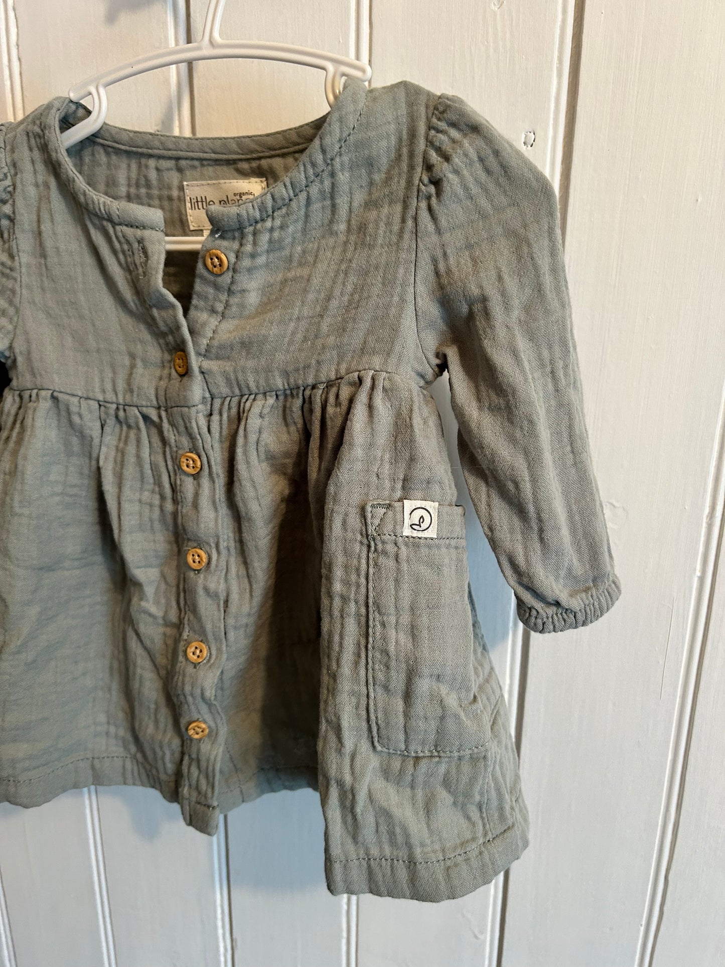 Little planet carters 3m sage green button up dress