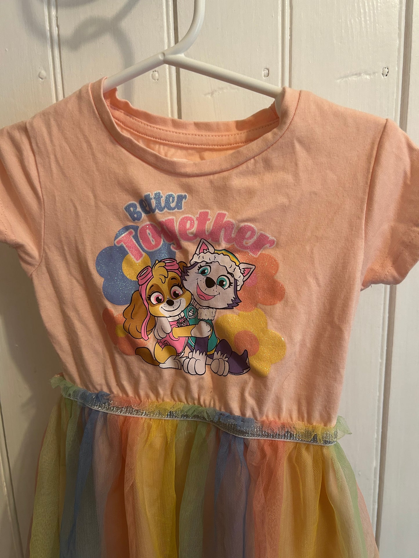 Paw patrol 3t tulle dress