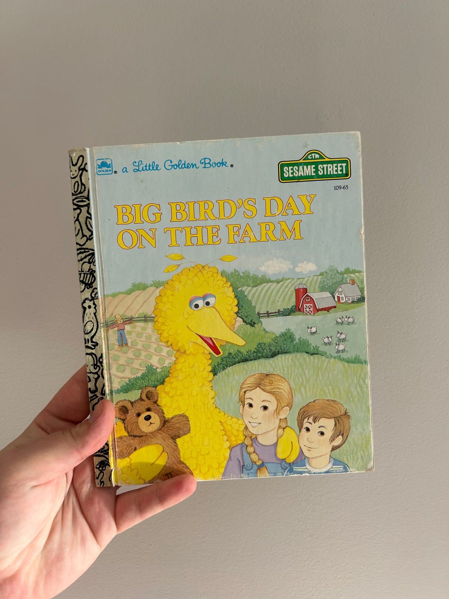 Big bird day on the farm book