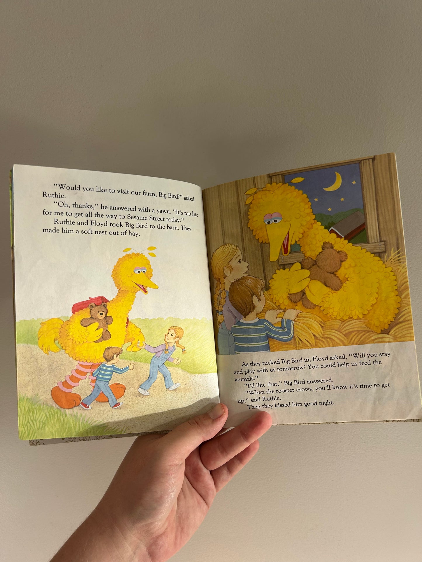 Big bird day on the farm book