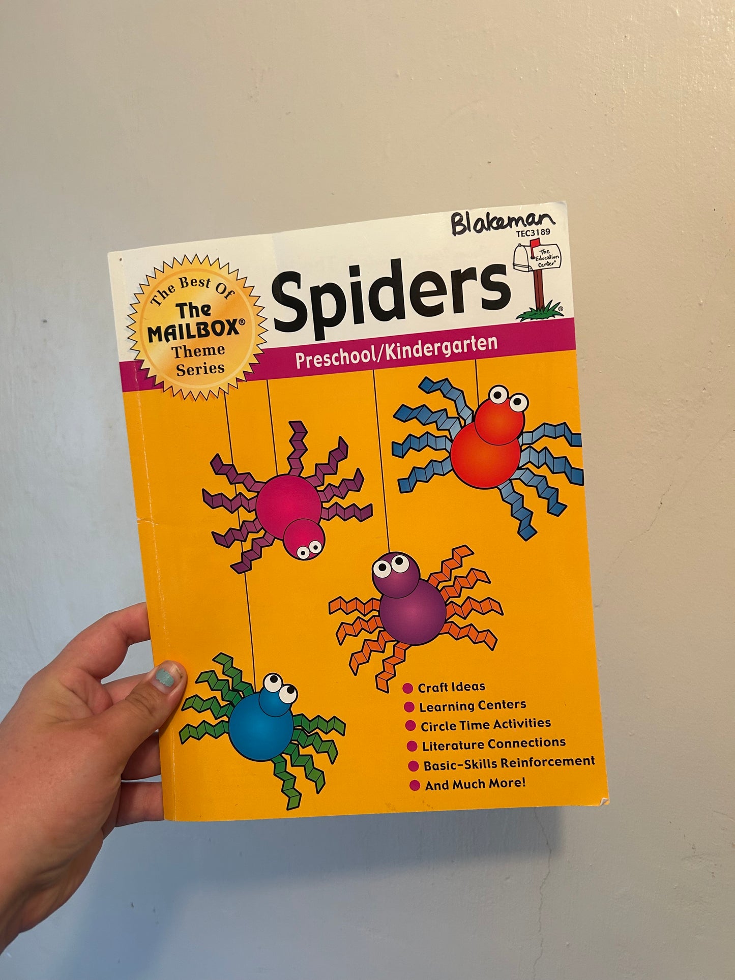 Spider activity book