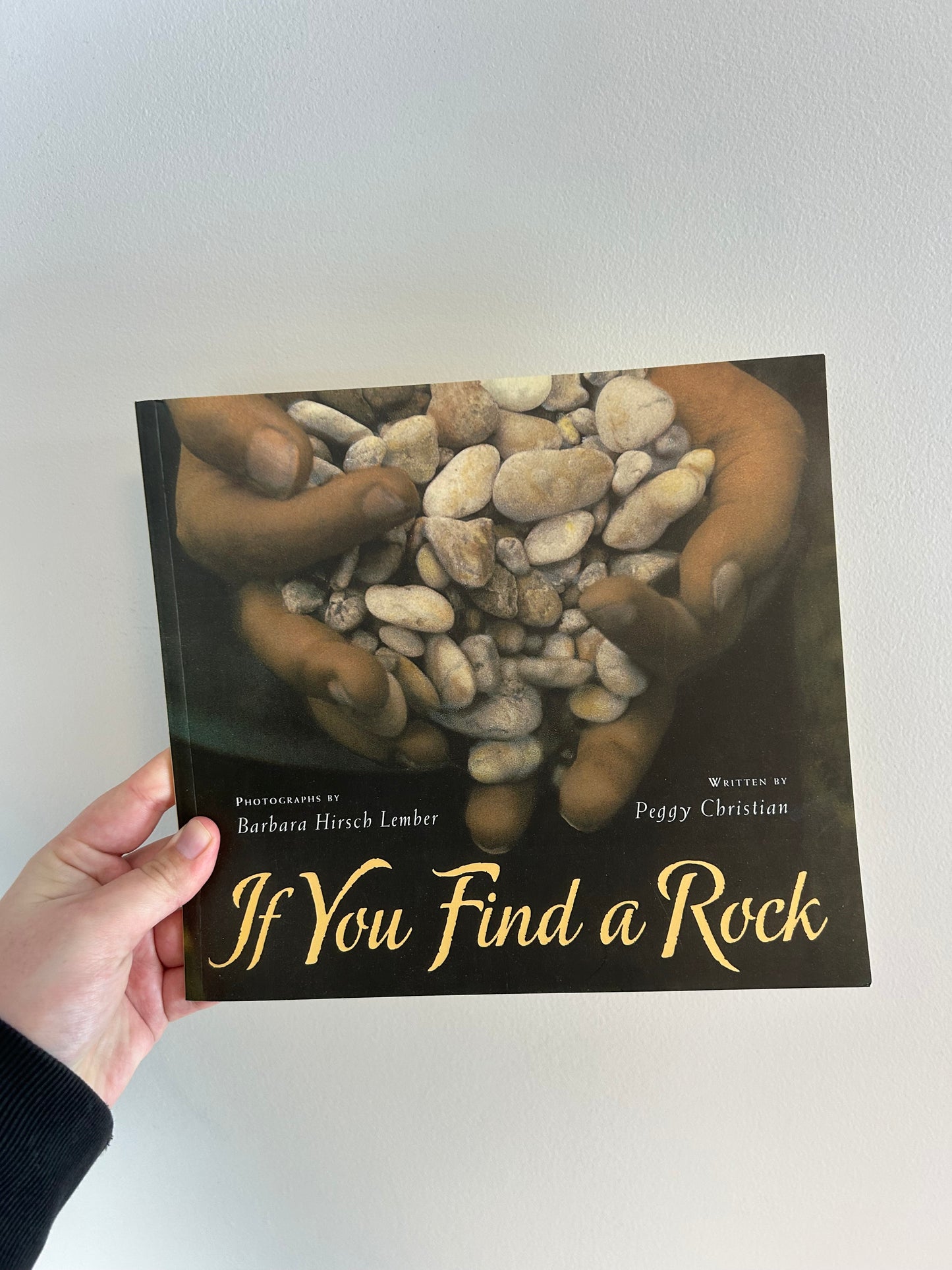 If you find a rock book