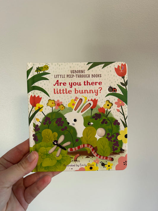NEW are you there bunny book