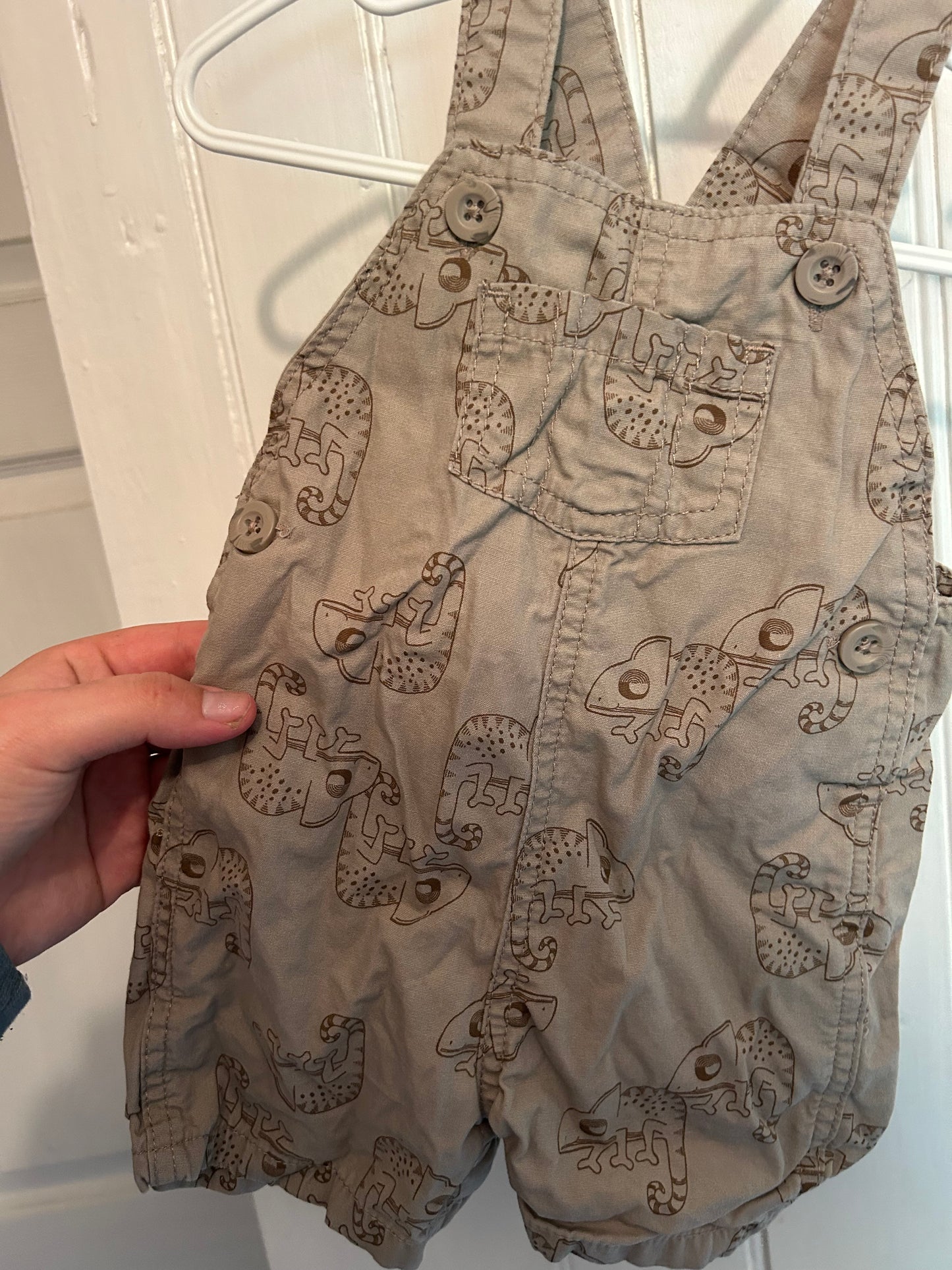 Carters 6m brown gecko overalls