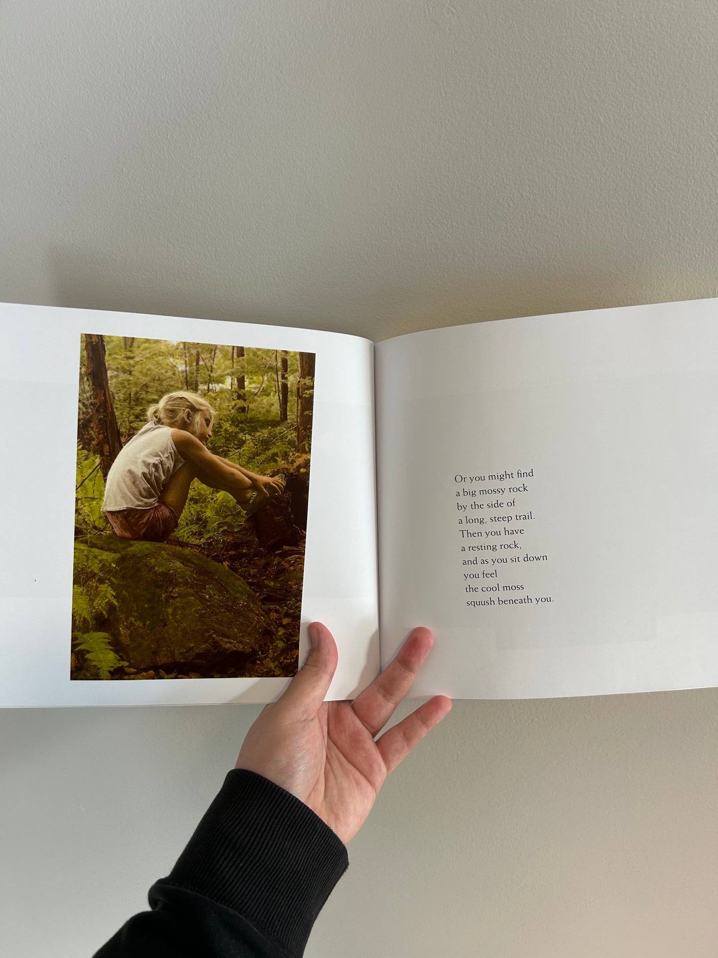 If you find a rock book