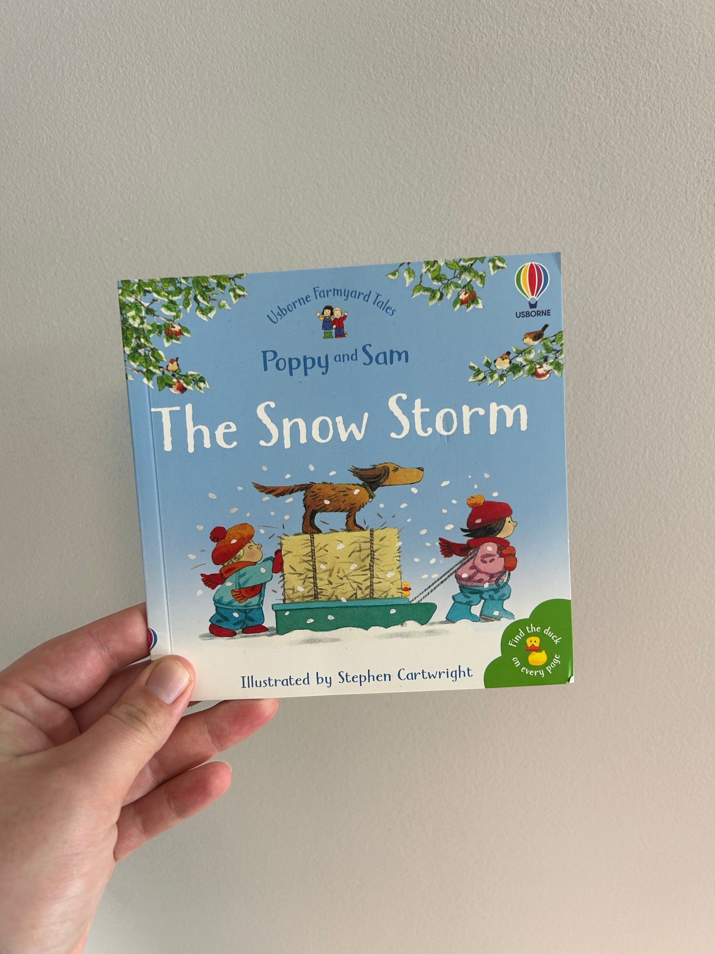 Usborne poppy & Sam snow storm book