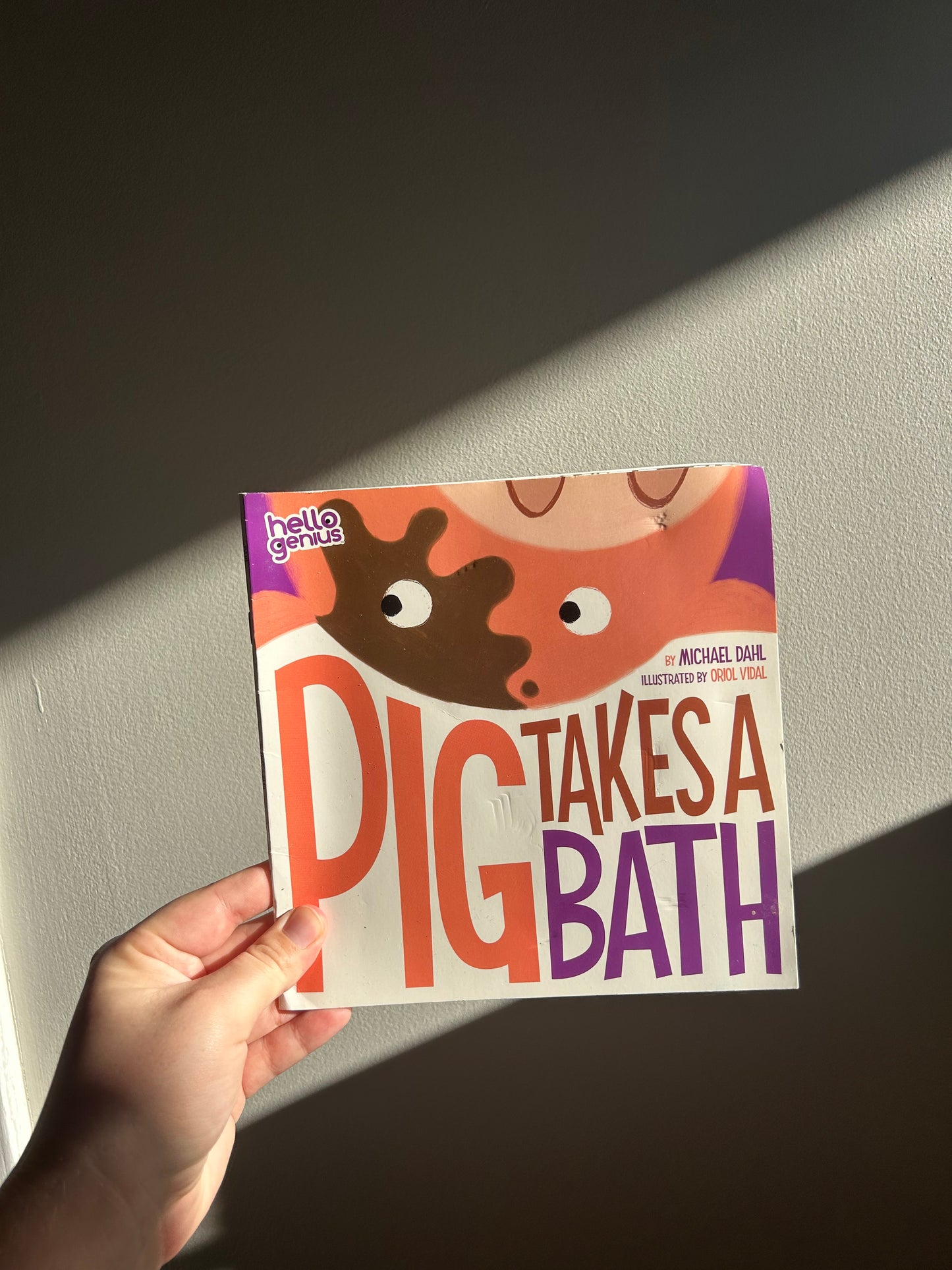 Pig takes a bath book