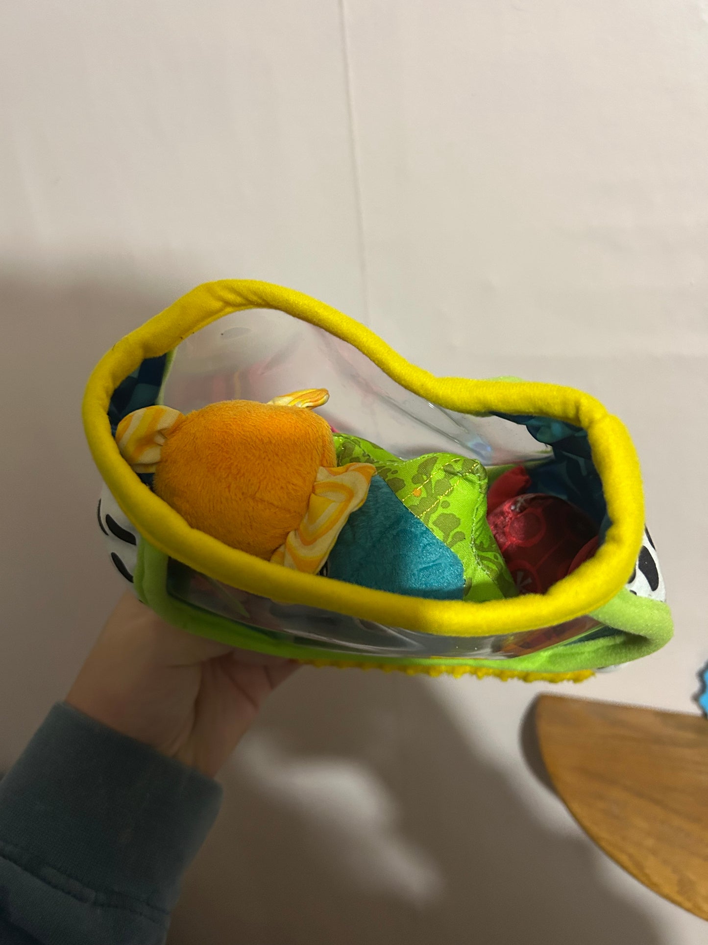 Tomy Lamaze fish bowl plush toy