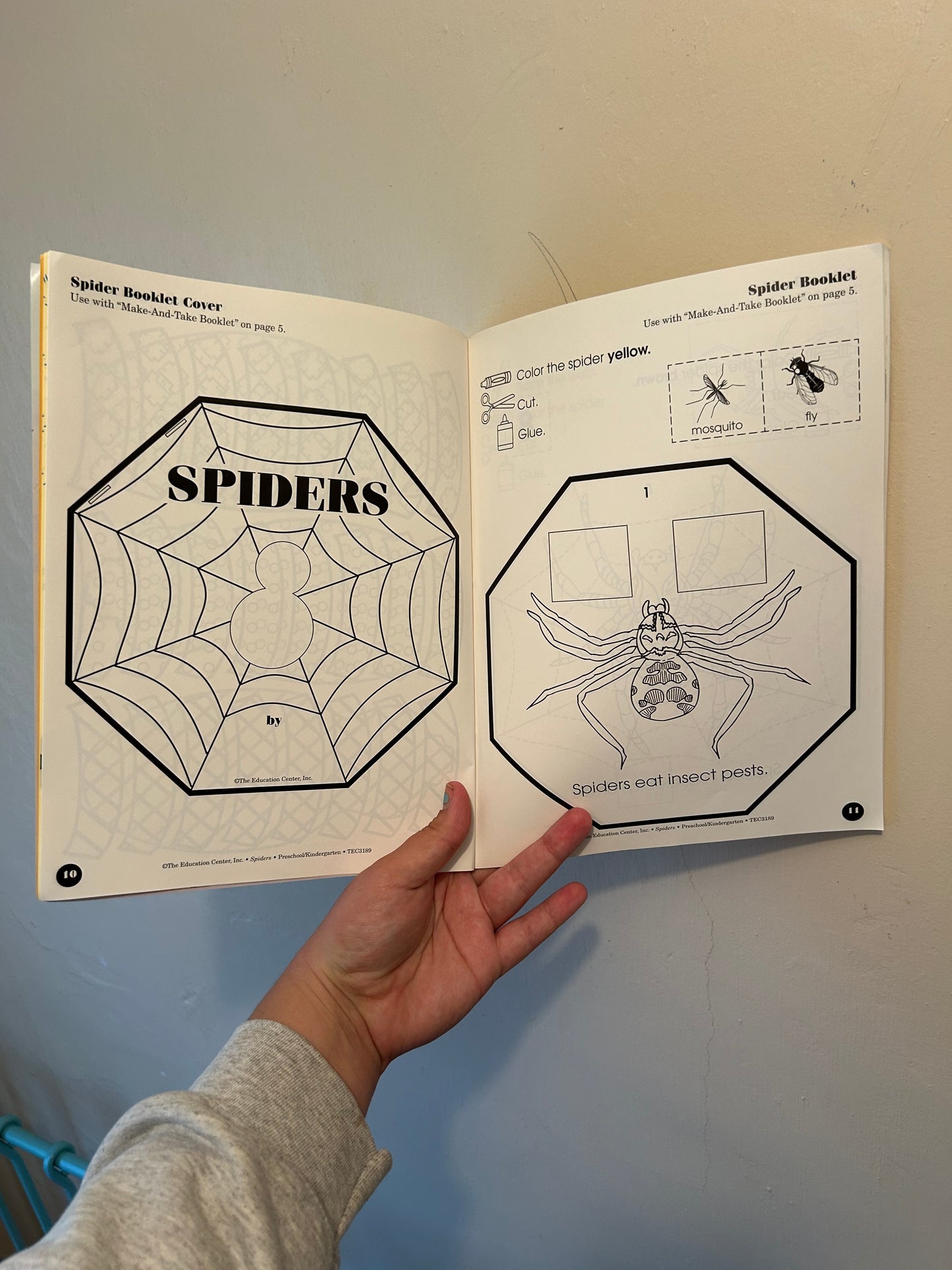 Spider activity book