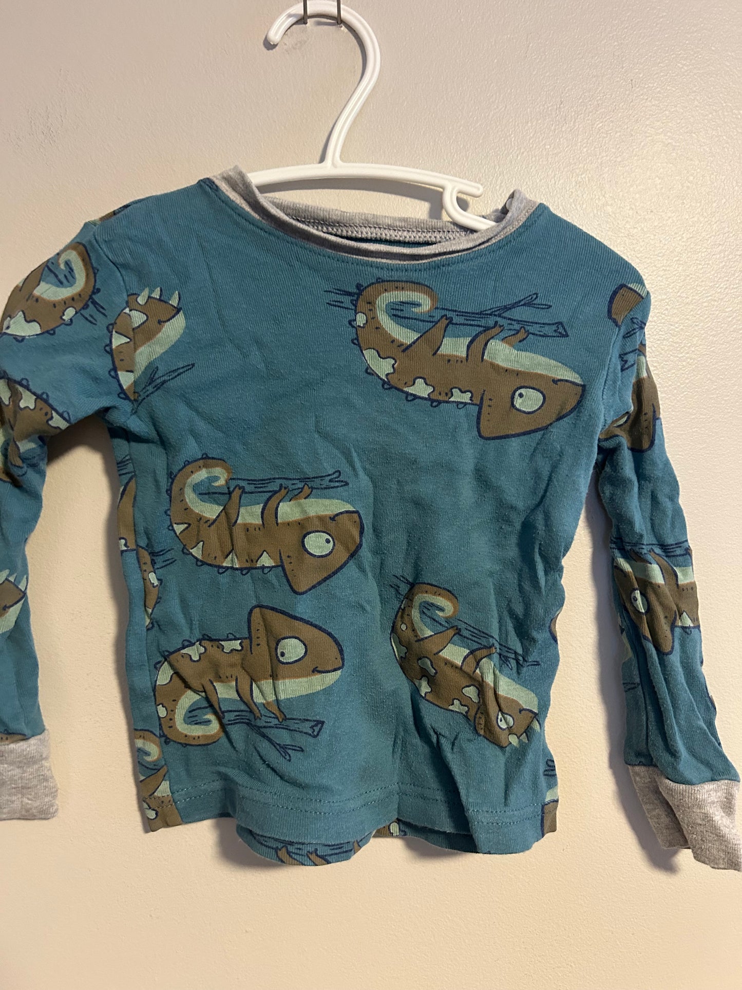 Carters 2t blue & green gecko 2pc pj set