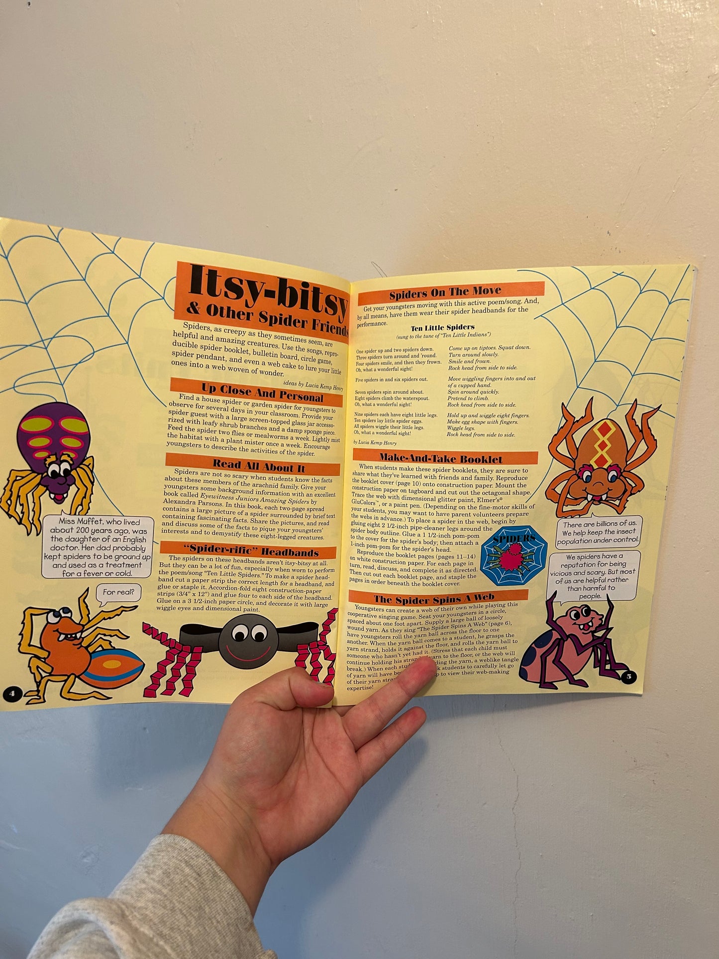 Spider activity book