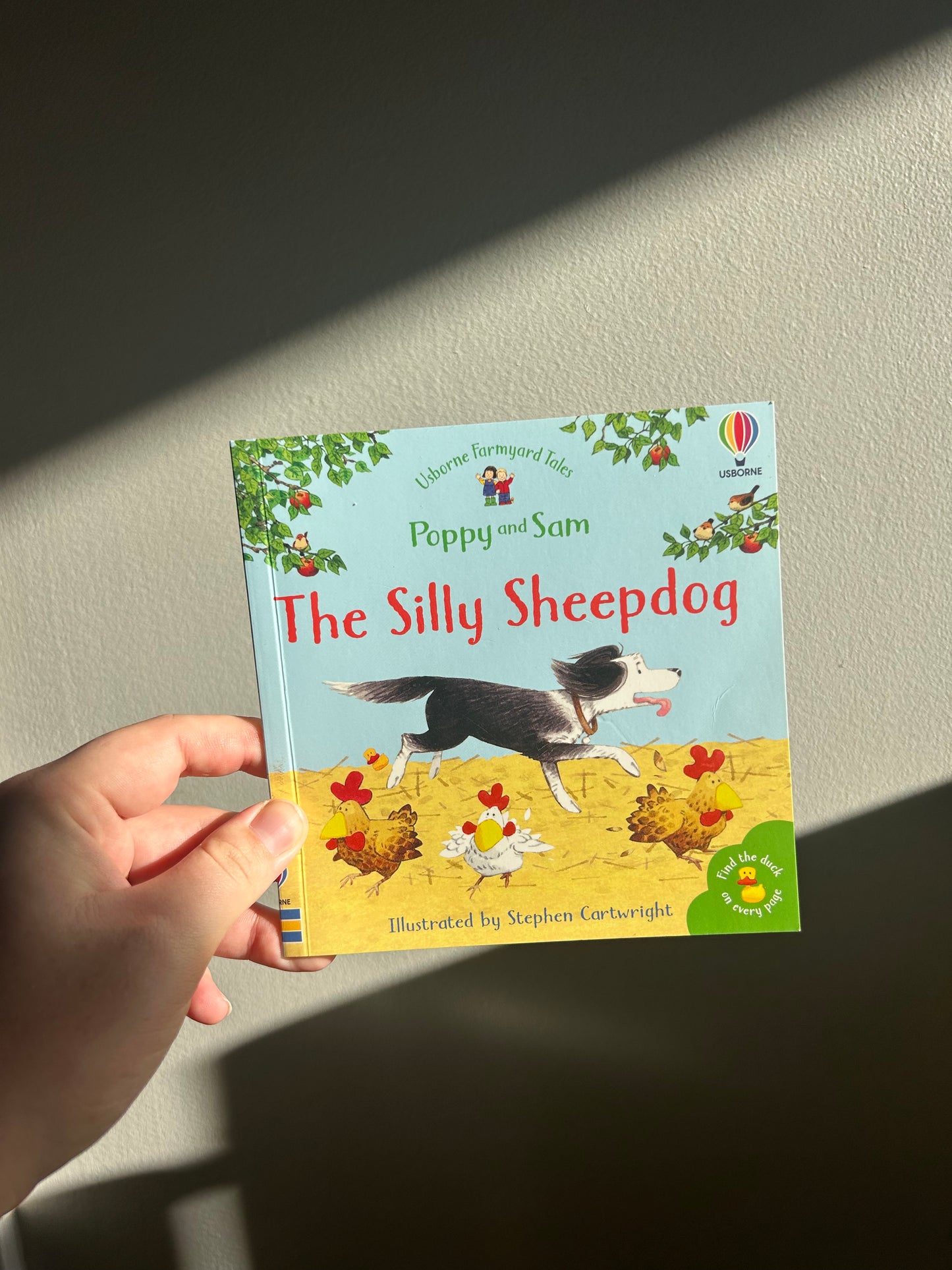 Usborne poppy & Sam silly sheepdog book