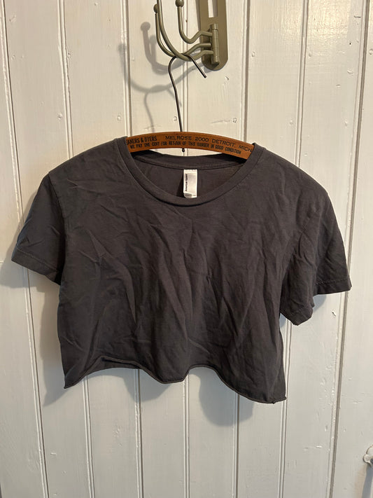 American apparel large grey crop top